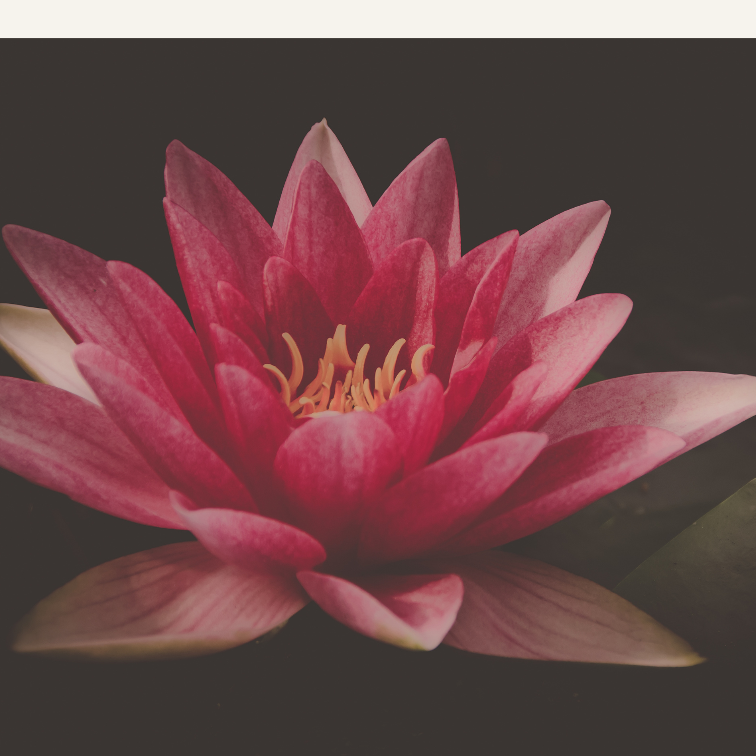 BLOOM Retreat